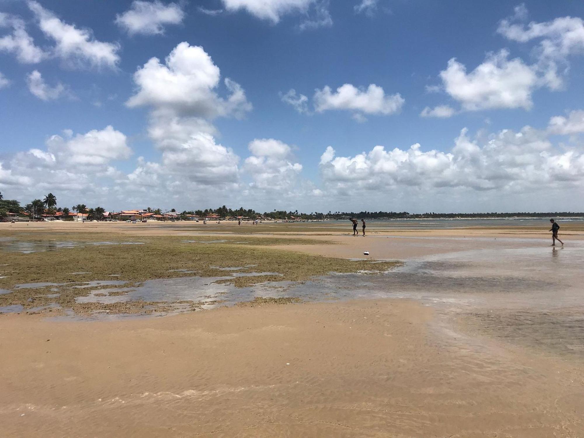 Beach House Pousada Exclusiva Pes Na Agua Unica Em Alagoas Pensión Pontal do Peba