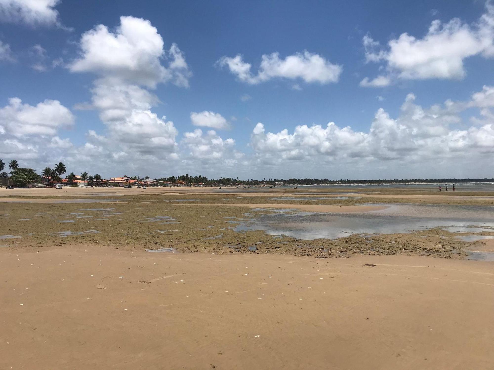 Pensión Beach House Pousada Exclusiva Pes Na Agua Unica Em Alagoas