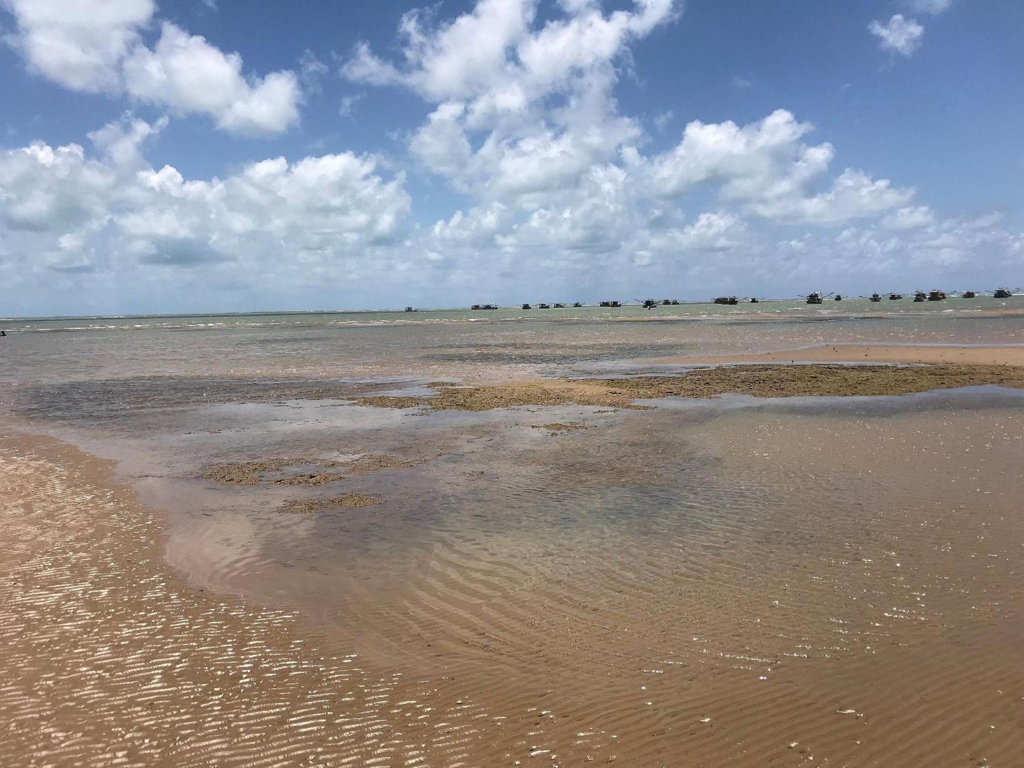 Beach House Pousada Exclusiva Pes Na Agua Unica Em Alagoas Pensión