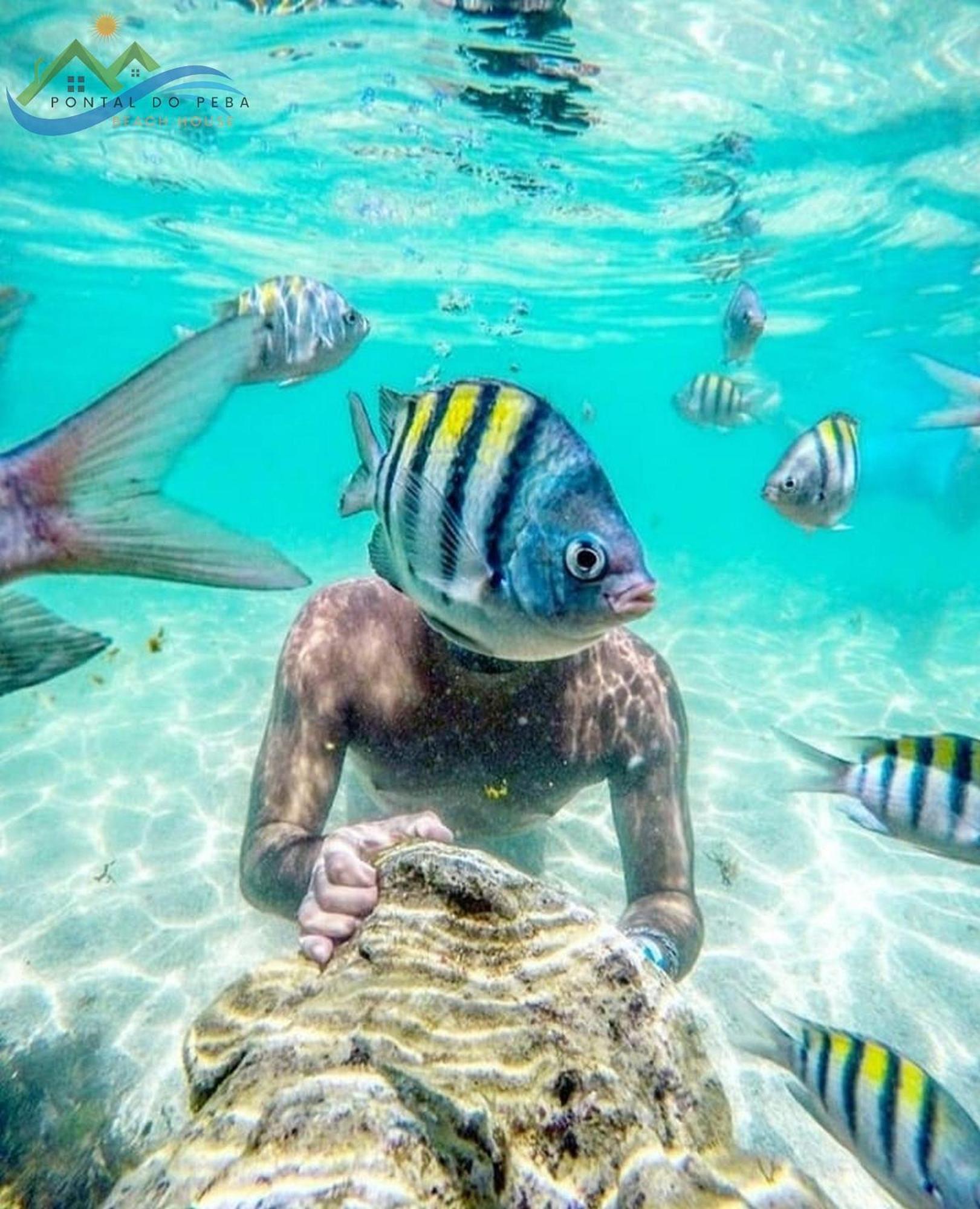 Beach House Pousada Exclusiva Pes Na Agua Unica Em Alagoas * Pontal do Peba